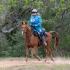 NORTH AMERICAN  TRAIL RIDE CONFERENCE